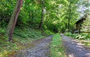 Creek Front Mountain Retreat - Hayesville, North Carolina