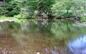 Creek Front Mountain Retreat - Hayesville, North Carolina