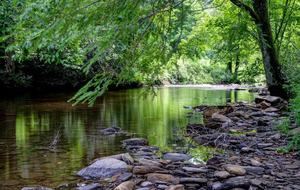 Creek Front Mountain Retreat - Hayesville, North Carolina