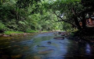 Creek Front Mountain Retreat - Hayesville, North Carolina