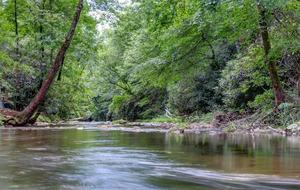 Creek Front Mountain Retreat - Hayesville, North Carolina