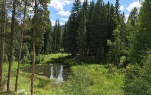 Mountain Meadow Lodge - Breckenridge, Colorado