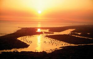 Marriott's Newport Coast Villas - Newport Coast, California