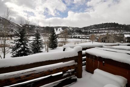 Bristlecone #203 - Park City, Utah