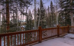 Mountain Village Ski Home - Telluride Mountain Village, Colorado