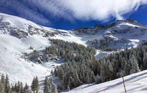 Mountain Village Ski Home - Telluride Mountain Village, Colorado