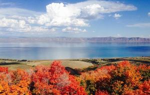 Paradise Point at Bear Lake - Fish Haven, Idaho