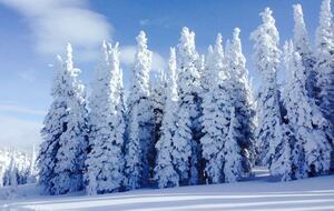 Paradise Point at Bear Lake - Fish Haven, Idaho
