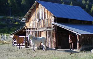 Gorgeous 880 Acre Argentina Ranch - Villa Lago Rivadavia, Argentina