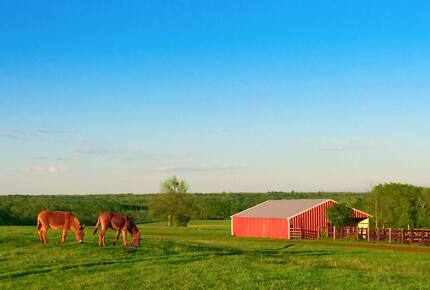 Circle M Ranch - Jewett, Texas