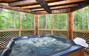 Huge forested riverfront property. 3 minutes to skiing. - Mont Tremblant, Canada