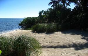 Florida Keys Paradise - Sugarloaf Key, Florida