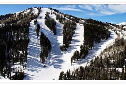 Powder Run B11 - Park City, Utah