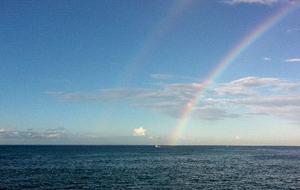 Hawaiian Dream - Kailua, Oahu, Hawaii