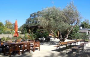 Twelve Oaks Retreat - Sonoma, California