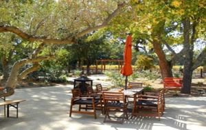 Twelve Oaks Retreat - Sonoma, California