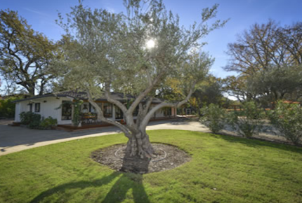 Twelve Oaks Retreat