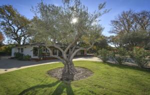 Twelve Oaks Retreat - Sonoma, California