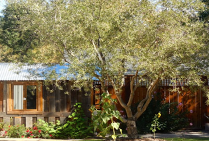 Twelve Oaks Retreat