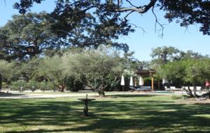 Twelve Oaks Retreat - Sonoma, California