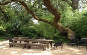 Twelve Oaks Retreat - Sonoma, California