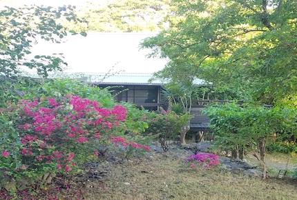 Island Getaway at the Tropical Mali House - Christiansted, Virgin Islands, U.S.