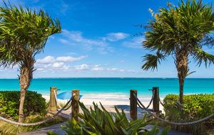 Sandy Toes - Providenciales, Turks and Caicos Islands