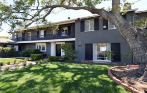 San Diego Dream - San Diego, California