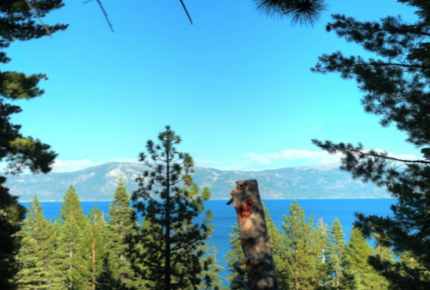 Tahoe Lake House - Carnelian Bay, California