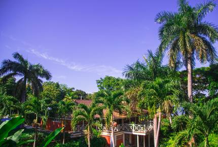 Willow's Estates