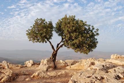 CURATED CULTURAL CLASSICS - Classic Athens & The Mainland, Greece