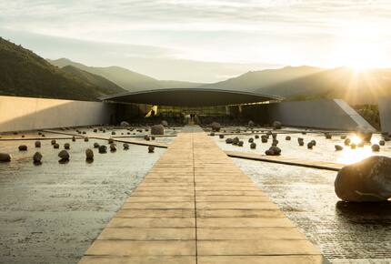 CURATED WINE ROUTES - Scenic Vineyards & Valleys, Chile