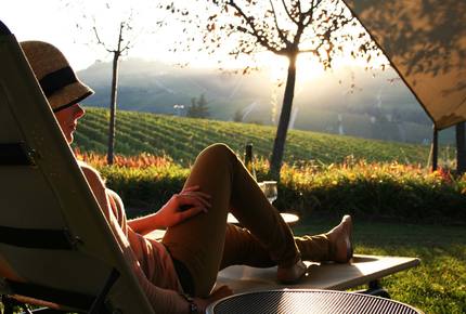 CURATED WINE ROUTES - Scenic Vineyards & Valleys, Chile