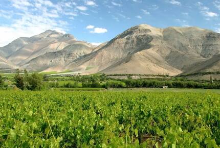 CURATED WINE ROUTES - Scenic Vineyards & Valleys, Chile