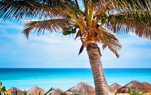 The Westin Lagunamar Ocean Resort - Cancun, Mexico