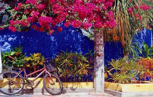 The Westin Lagunamar Ocean Resort - Cancun, Mexico