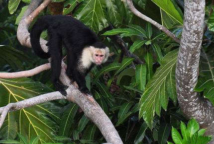 CURATED ECO EXPLORINGS - Route of The Ancient Maya, Belize