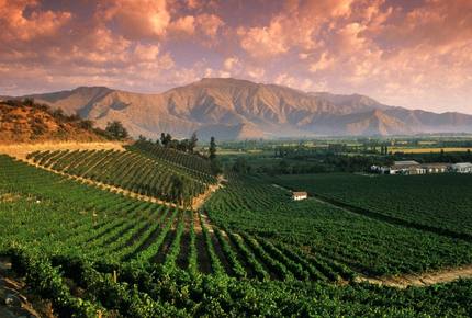 CURATED WINE ROUTES - Scenic Vineyards & Valleys, Chile