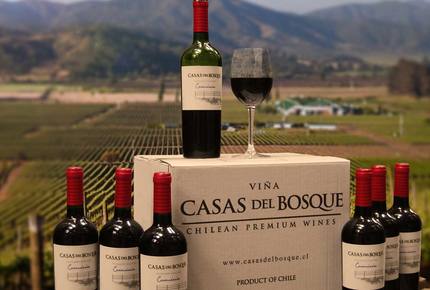 CURATED WINE ROUTES - Scenic Vineyards & Valleys, Chile