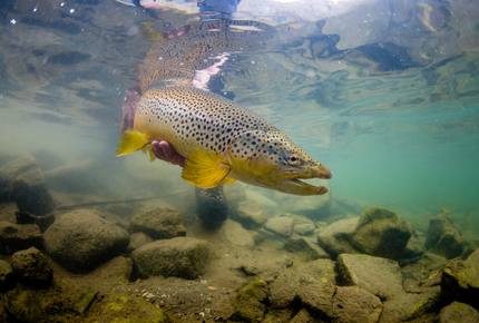 Concierge SPORTING LIFESTYLES - The Big Lure, Worldwide