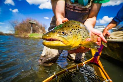 Concierge SPORTING LIFESTYLES - The Big Lure, Worldwide