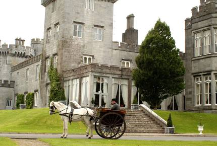CURATED FAMILY BONDINGS - Lucky Irish Charms, Ireland