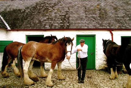 CURATED FAMILY BONDINGS - Lucky Irish Charms, Ireland