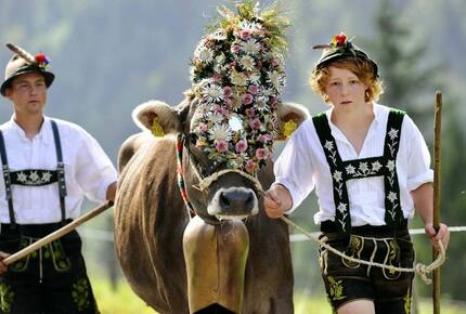 CURATED CULINARY SERIES - Tasting Bavaria on the Romantic Road, Germany