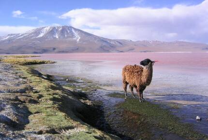 CURATED GLAMPING THE NIGHT AWAY - Salt Flats Airstream Dream, Bolivia