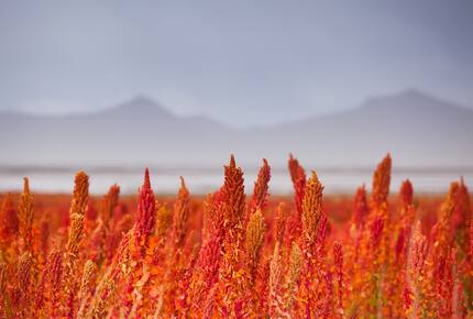 CURATED GLAMPING THE NIGHT AWAY - Salt Flats Airstream Dream, Bolivia