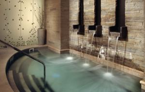 Hyatt Mountain Luxury Residence - Beaver Creek, Colorado