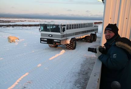 CURATED ECO EXPEDITION - Polar Bear Rover Adventure, Churchill Manitoba