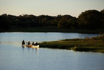 CURATED ECO EXPLORINGS - Pantanal South Ecological Refuge, Brazil