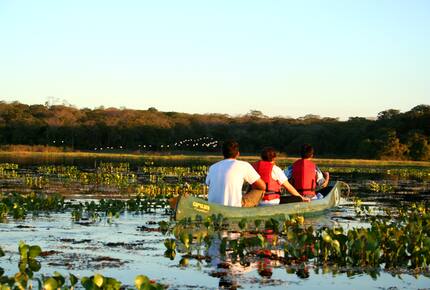 CURATED ECO EXPLORINGS